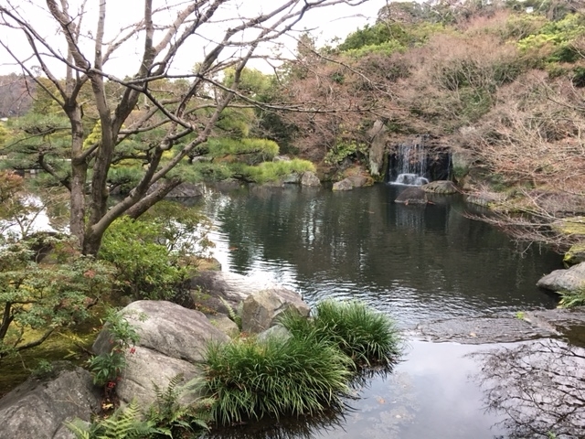 世田谷　歯医者　歯科　上町　インプラント